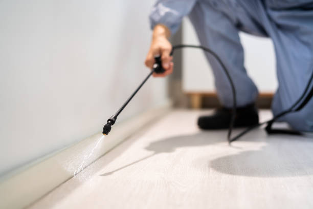 Licensed Mosquito Control service in Shoreview, MN - Nex Pest Control