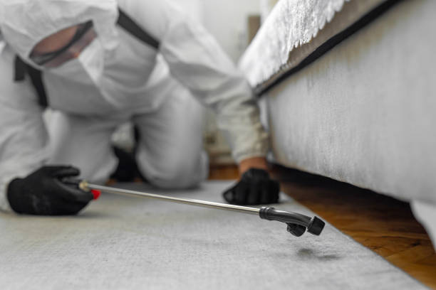 Professional Mosquito Control technician working in Shoreview, MN