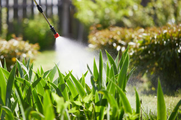24/7 Emergency Mosquito Control experts in Shoreview, MN