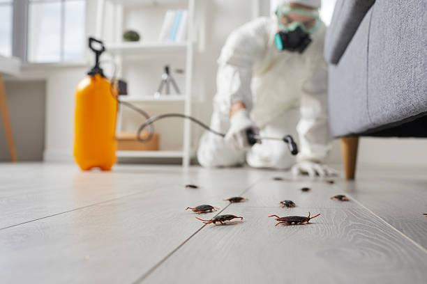 Trusted Rodent Control service in Shoreview, MN - Nex Pest Control